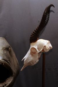IMG-20210131-WA0068