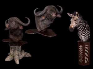 taxidermy-gallery-11